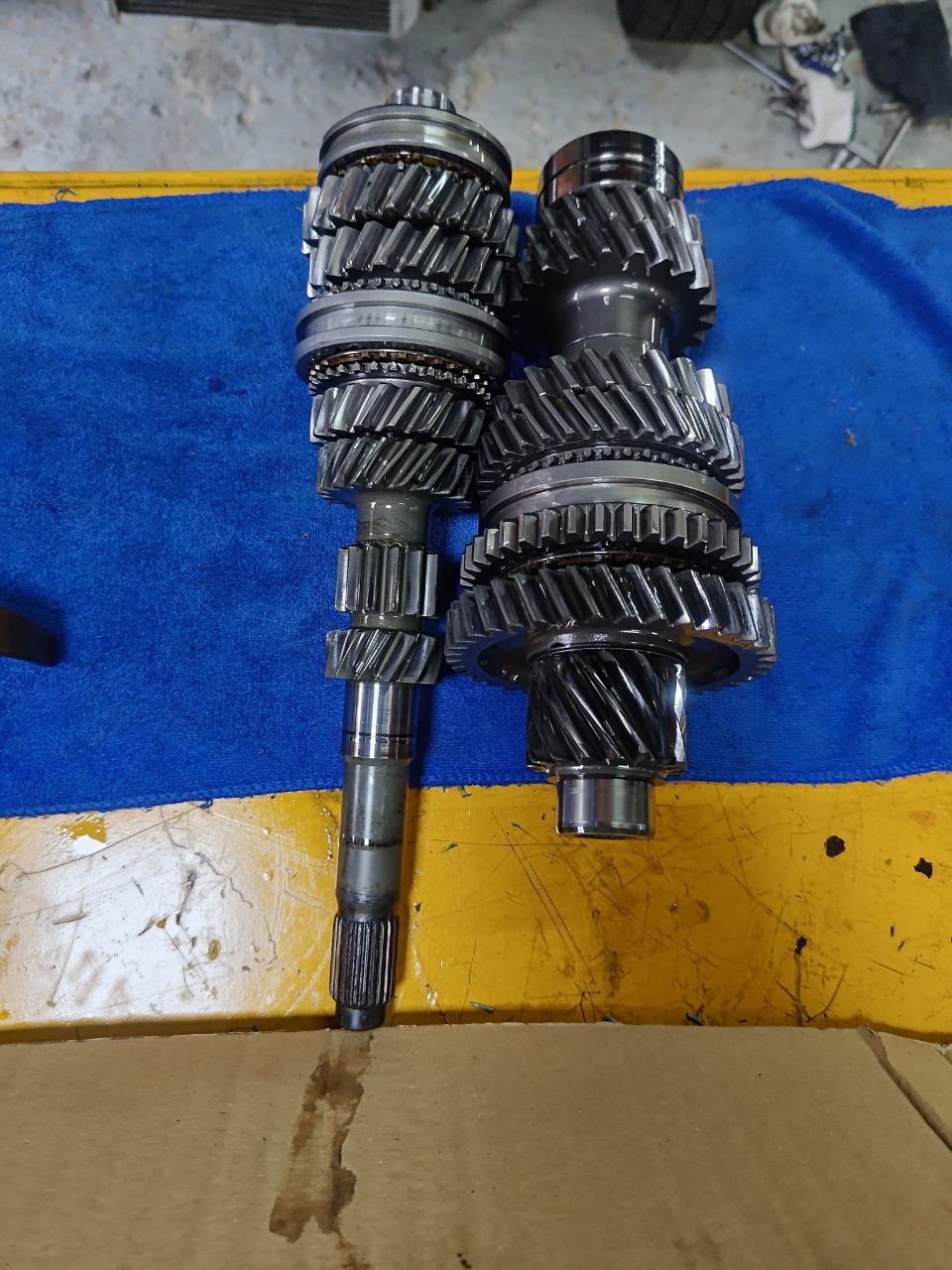 photo_2025-11-17_11-25-28