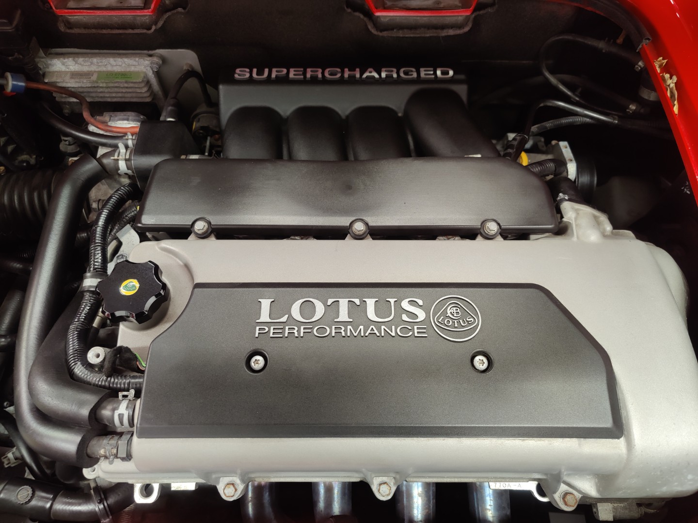 IMG_20220209_213451 (Large)